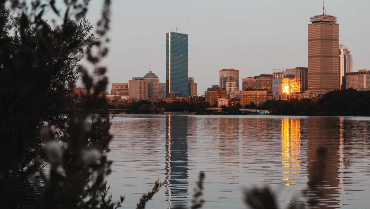 Boston Bushes Skyline Charles River.